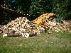 2003_0710_161539AA.jpg